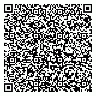 vCard 79969383133