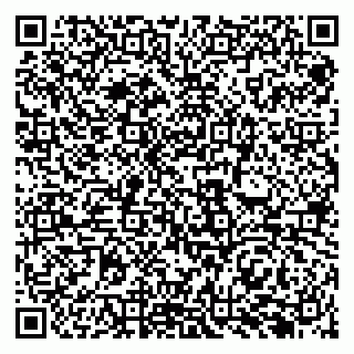 vCard 79969383801