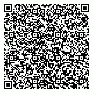 vCard 79969383931