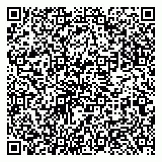 vCard 79969385103