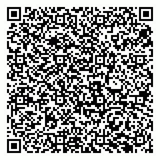 vCard 79969387729