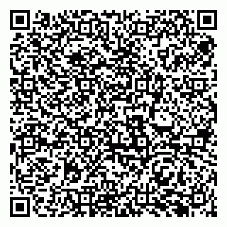vCard 79969387805