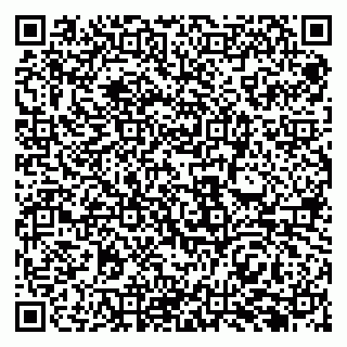 vCard 79969387871