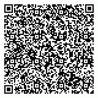 vCard 79969387938