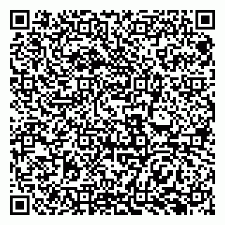 vCard 79969388173