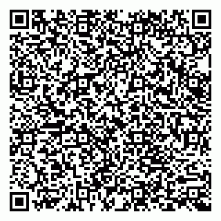 vCard 79969399163