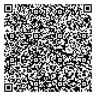 vCard 79990400167