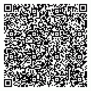 vCard 79990400393
