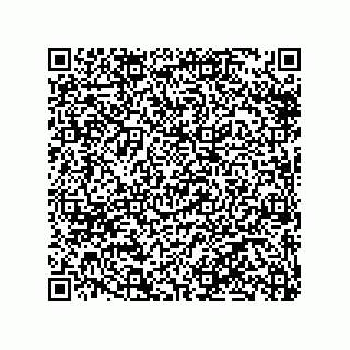 vCard 79990710091
