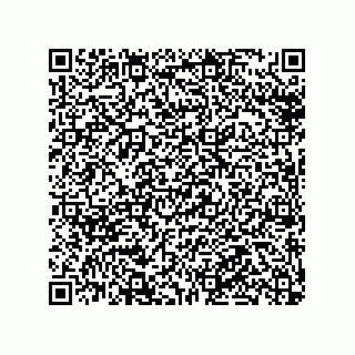 vCard 79990710303