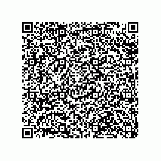 vCard 79990710308