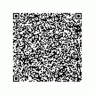 vCard 79990710332