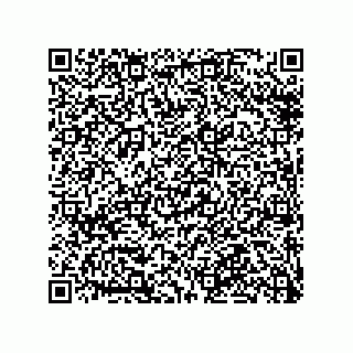 vCard 79990710384