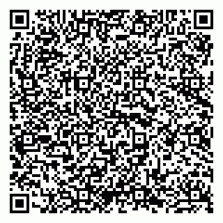 vCard 79990800635