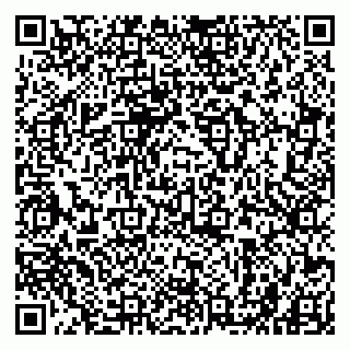 vCard 79990801039
