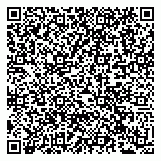 vCard 79990803839
