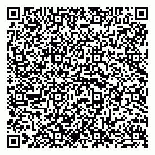 vCard 79990803939