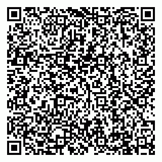 vCard 79991000138