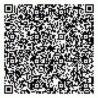 vCard 79991000739