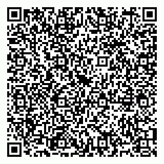 vCard 79991001084