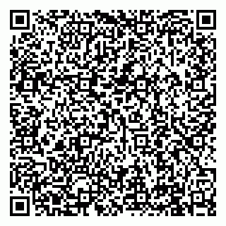 vCard 79991001085