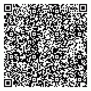 vCard 79991001321
