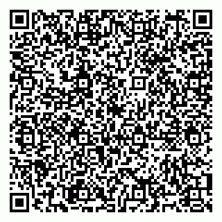 vCard 79991001581