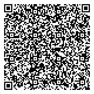 vCard 79991001663