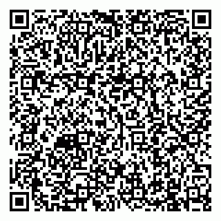 vCard 79991002011