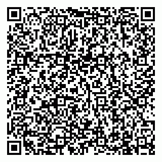 vCard 79991002038