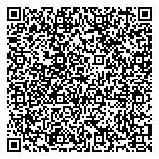 vCard 79991002051