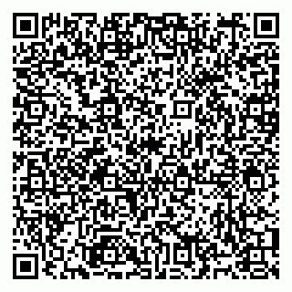 vCard 79991003721