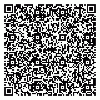 vCard 79991003738