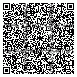 vCard 79991003739