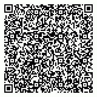 vCard 79991003873