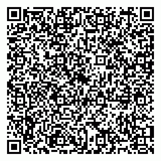vCard 79991003895