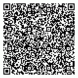 vCard 79991003921