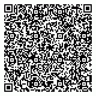 vCard 79991006073
