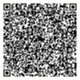 vCard 79991006133