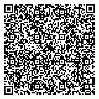vCard 79991006163