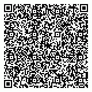 vCard 79991006381