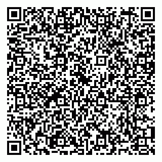 vCard 79991006573