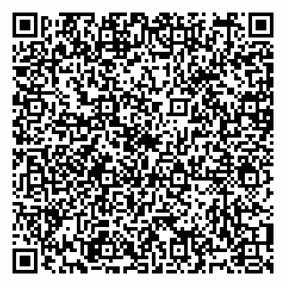 vCard 79991008021