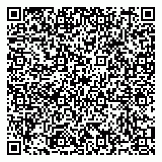 vCard 79991008163
