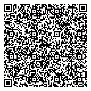 vCard 79991008225