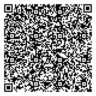 vCard 79991008493