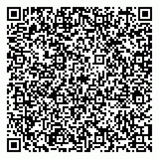 vCard 79991008508
