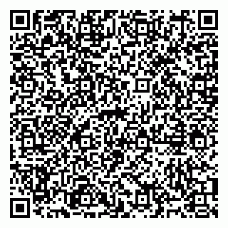 vCard 79991008509