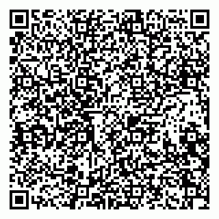 vCard 79991008687