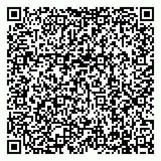 vCard 79991009091